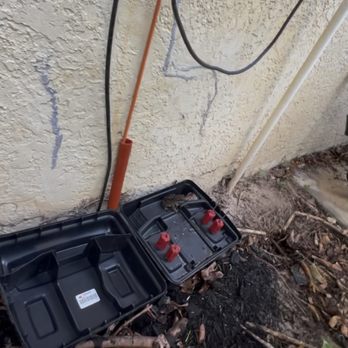 Deter Pest Solutions - Ready to get these Rats - Pest Control Near Me - Lehigh Acres, Florida Deter Pest Solutions - Ready to get these Rats - Pest Control Near Me - Lehigh Acres, Florida