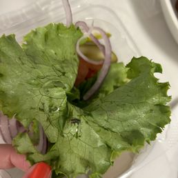 A fly on the lettuce of my burger. Gross. A fly on the lettuce of my burger. Gross.