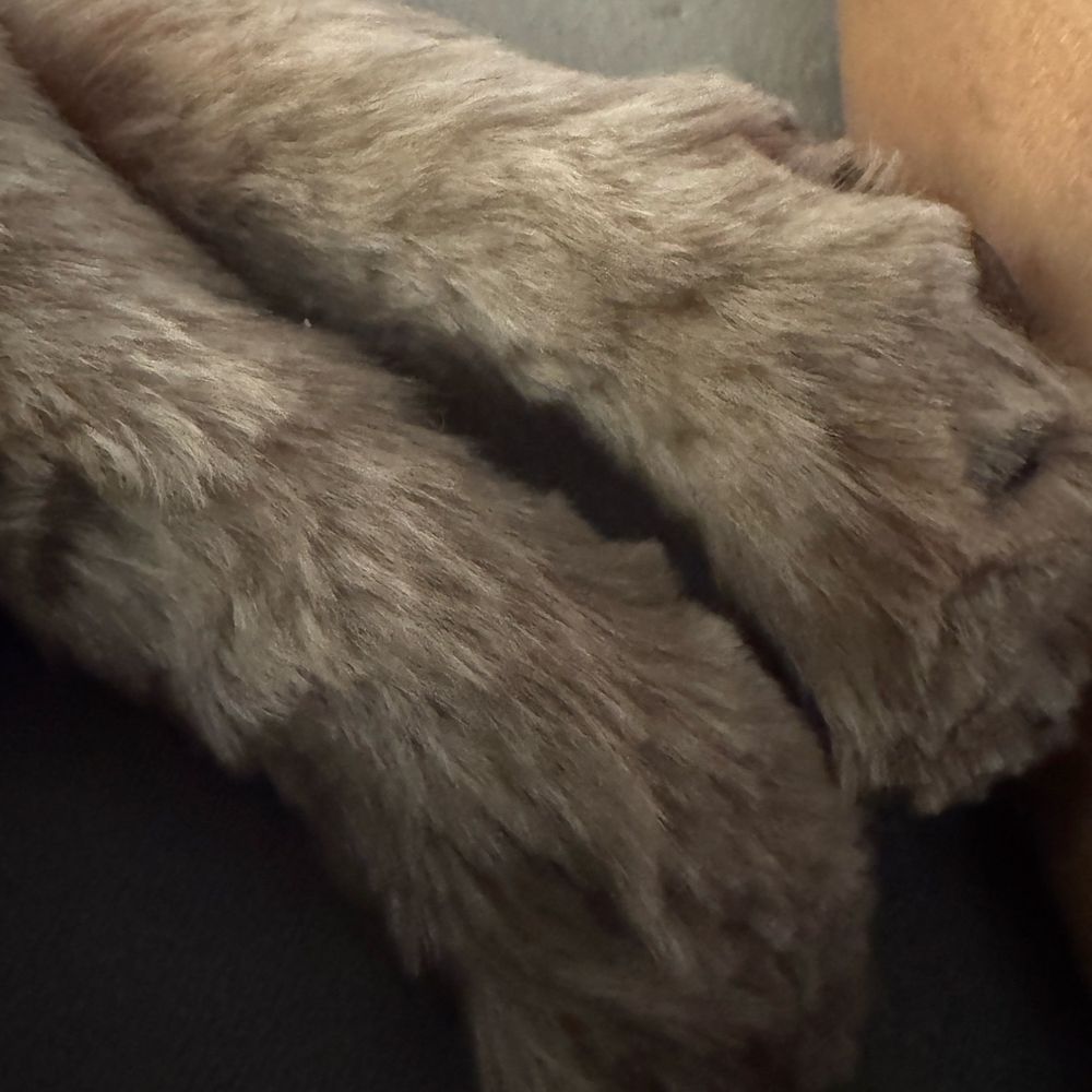 Bark Side Pet Grooming - Pet Groomers Near Me - Long Beach, California Bark Side Pet Grooming - Pet Groomers Near Me - Long Beach, California