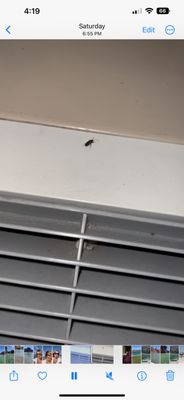 Edgewater Casino Resort by null