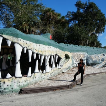 Jungle Adventures - Tours Near Me - Christmas, Florida Jungle Adventures - Tours Near Me - Christmas, Florida