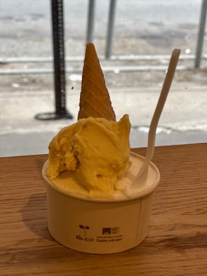 Gelateria Gentile by null