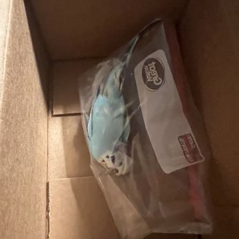 Feeders Supply - now they want us to keep a dead bird in a box for another couple days until a manager is on duty at 9 AM Sunday - Pet Stores Near Me - Shepherdsvlle, Kentucky Feeders Supply - now they want us to keep a dead bird in a box for another couple days until a manager is on duty at 9 AM Sunday - Pet Stores Near Me - Shepherdsvlle, Kentucky