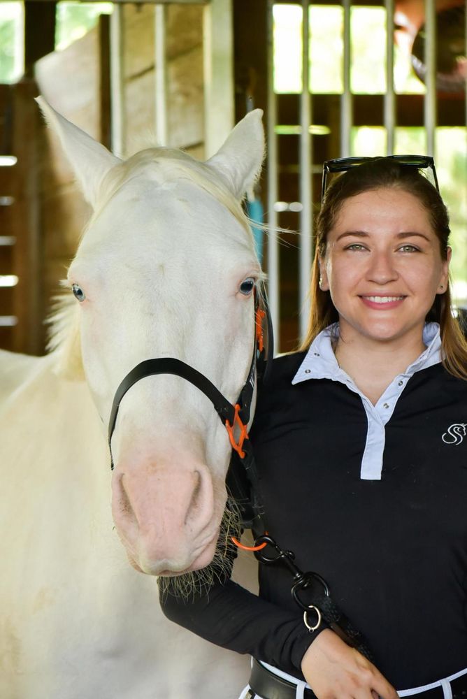 Horse Clipping - equestrian in Davie, FL