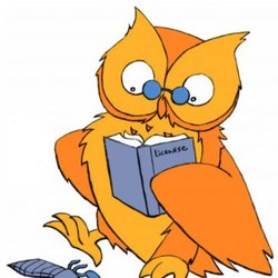 LiceWise
