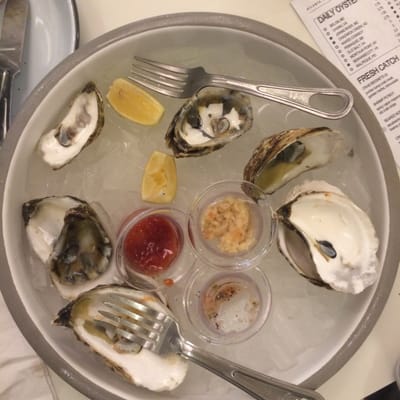 W. H. Stiles Fish Camp by null