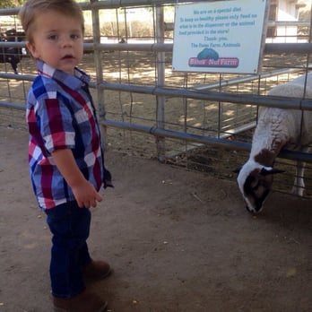Bates Nut Farm - Matty warming up to the animals - Specialty Food Near Me - Valley Center, California Bates Nut Farm - Matty warming up to the animals - Specialty Food Near Me - Valley Center, California