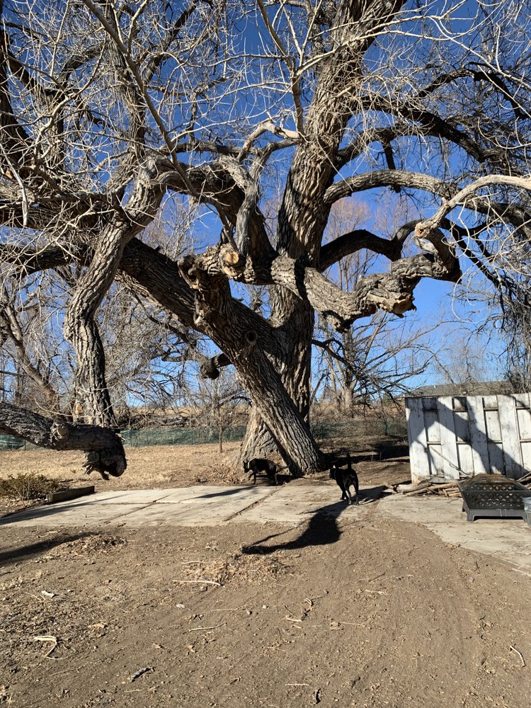 o Jupiter Florida Real Estate For Sale