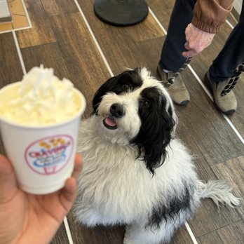 Craving Sweets Now - Gelato Near Me - Washington, DC, District of Columbia
