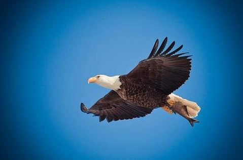 Slide of Liberty Plumbing ??