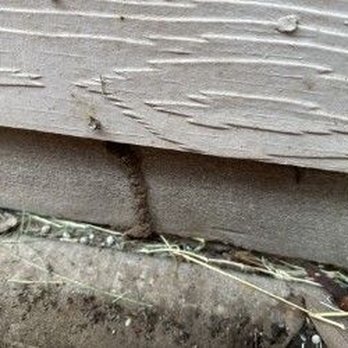Adams Termite & Pest Control - Pest Control Near Me Adams Termite & Pest Control - Pest Control Near Me