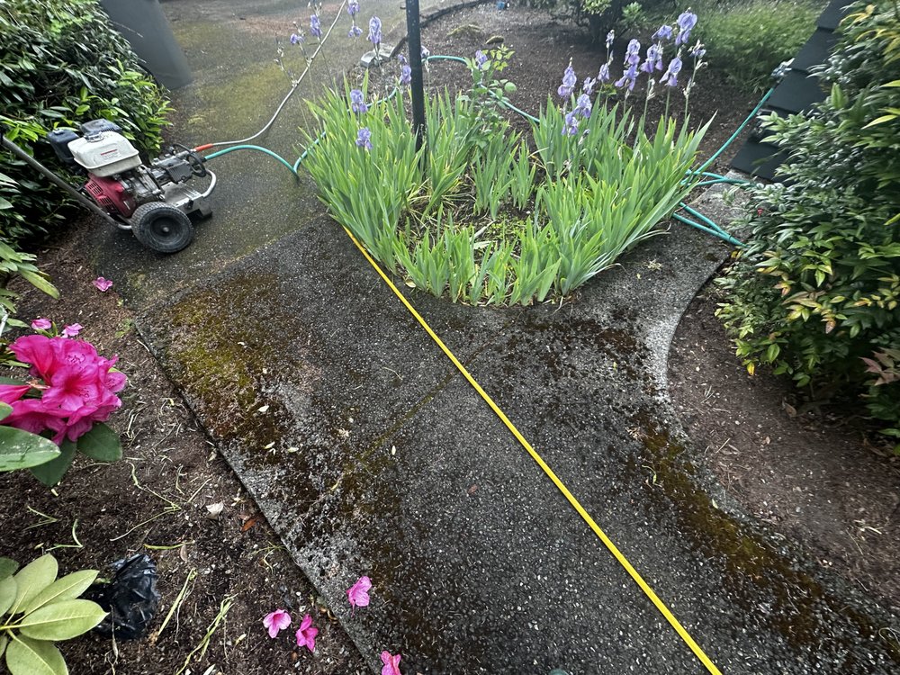 Slide of Apex Pro Kleening