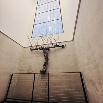 Valdemar Estates - Beautiful vine that was rescued and is the art piece. - Tapas/Small Plates Near Me - Walla Walla, Washington