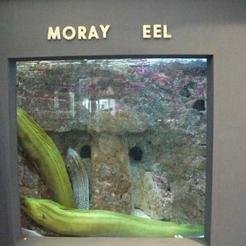 Atlantic City Aquarium - Aquariums Near Me - Atlantic City, New Jersey
