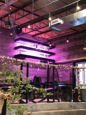 Café Saint-Henri (Villeray - Quartier Général) by null