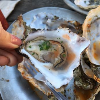 Hog Island Oyster - Oysters - Seafood Near Me - Marshall, California Hog Island Oyster - Oysters - Seafood Near Me - Marshall, California