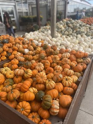 Goebbert's Farm - South Barrington by null