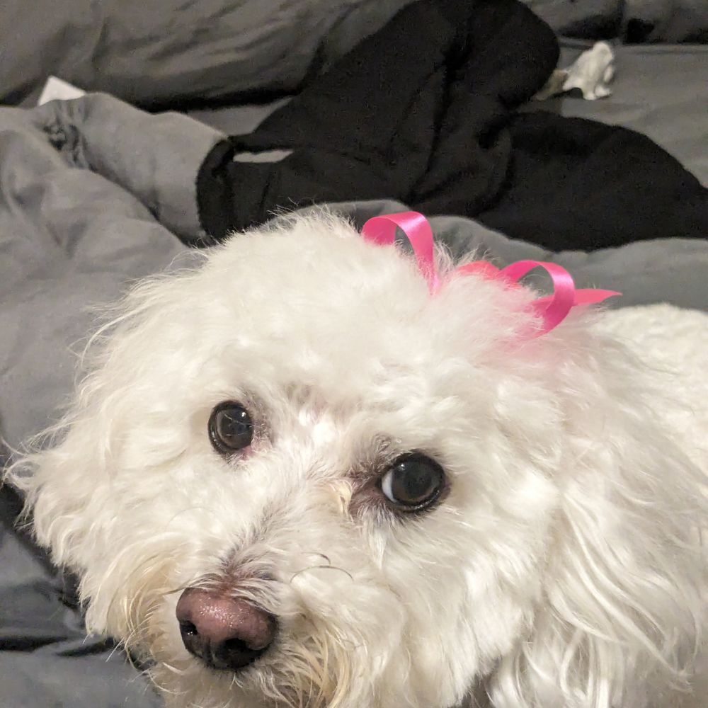 My stylist does a great job. My stylist does a great job.