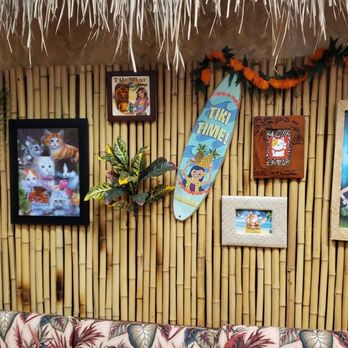 Aloha Kitty Cafe - Pet Adoption Near Me - Kailua, Hawaii