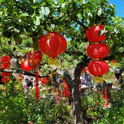 Skagit Symphony's Garden Tour