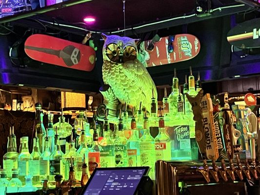 Night Owl Pizza & Drinks Scottsdale by null