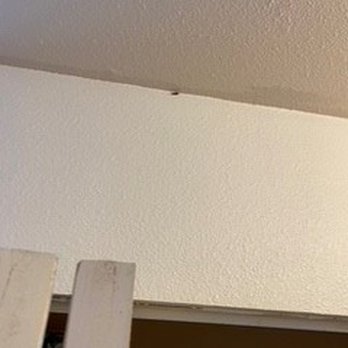 Helix Property Management - a moth??? - Apartments Near Me - Fort Collins, Colorado