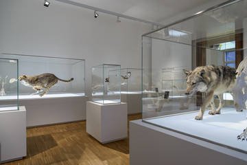 Naturkundemuseum by null