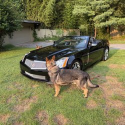 Champagne Motor Car