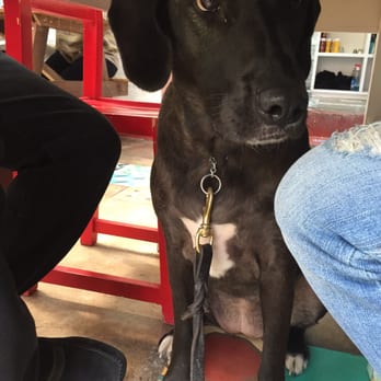 L' Encanto de Lola - ME ENCANTA QUE SEA PET FRIENDLY! - Delis Near Me - México, D.F., DIF L' Encanto de Lola - ME ENCANTA QUE SEA PET FRIENDLY! - Delis Near Me - México, D.F., DIF