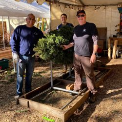Nativity School Christmas Tree Lot - The shop guys