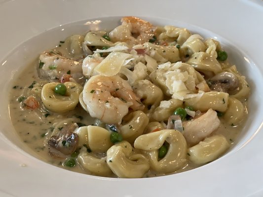 Verona's Cucina Italiana by null