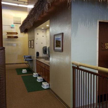 Safari Run - Party & Event Planning Near Me - Sunnyvale, California Safari Run - Party & Event Planning Near Me - Sunnyvale, California