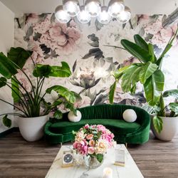 The Wax & Skin Lounge