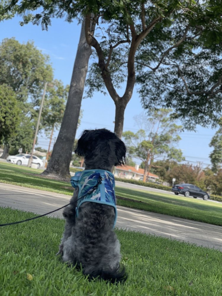 ANTIQUES ON THE GRAPEVINE Updated May 2024 82 Photos & 24 Reviews 49744 Gorman Post Rd