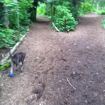 Loganberry Lane Park - Dog Parks Near Me - Everett, Washington Loganberry Lane Park - Dog Parks Near Me - Everett, Washington