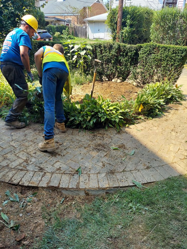 Slide of Doodyman to the Rescue