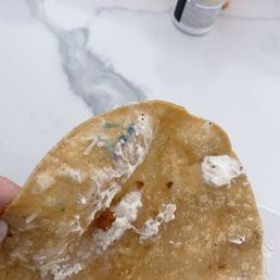 Mold on the tortilla awful I through it all away Very soggy gross fish tacos Mold on the tortilla awful I through it all away Very soggy gross fish tacos