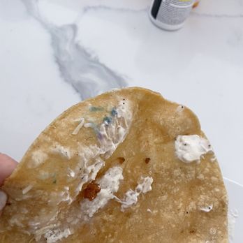 Kotija Jr Taco Shop - Mold on the tortilla awful I through it all away Very soggy gross fish tacos - Mexican Near Me - Encinitas, California Kotija Jr Taco Shop - Mold on the tortilla awful I through it all away Very soggy gross fish tacos - Mexican Near Me - Encinitas, California