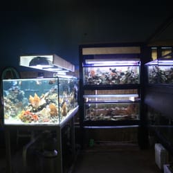 Coastal Aquariums