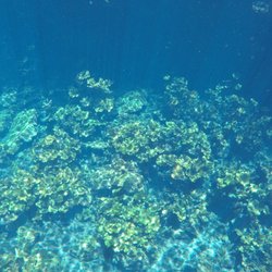 Riviera Adventours - Cenotes