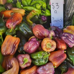 Certified Farmers Market - Bell peppers $3/lb