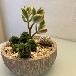 Jade combo! Love it!