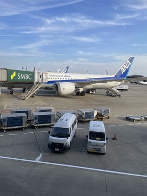 All Nippon Airways by null