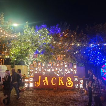JACK’S PUMPKIN POP-UP - TEMP. CLOSED - Updated September 2024 - 281