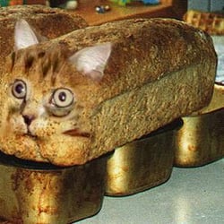 Bäckerei Hardt