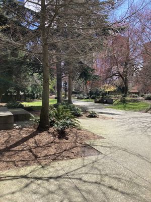 Freeway Park by null