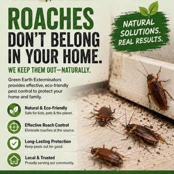 Green Earth Exterminators - Pest Control Near Me Green Earth Exterminators - Pest Control Near Me