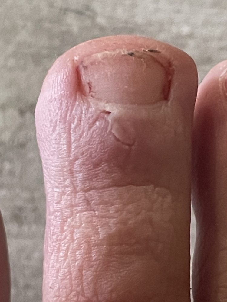 CHRISTMAS TREE SHOPS 1100 N Galleria Dr, Middletown, New York Yelp