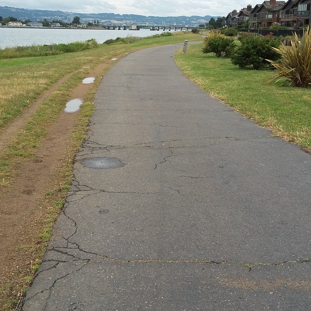 Shoreline Trail - Part of the trail - Hiking Near Me - Alameda, California Shoreline Trail - Part of the trail - Hiking Near Me - Alameda, California