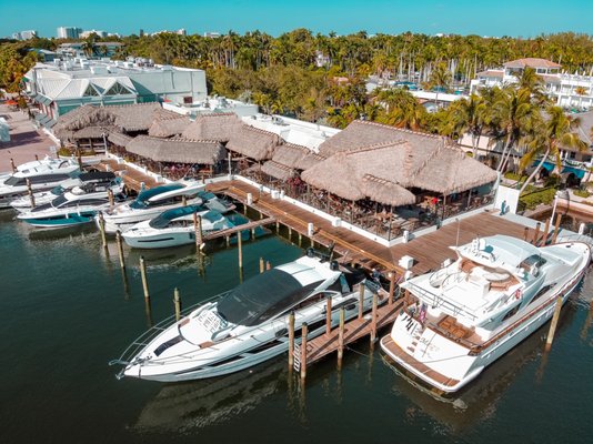 Monty's Coconut Grove by null